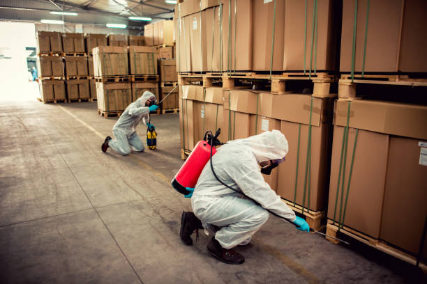 Best Fumigation Services  in Shirley, NY